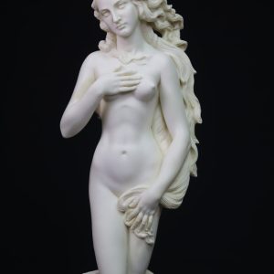 The Birth of Venus
